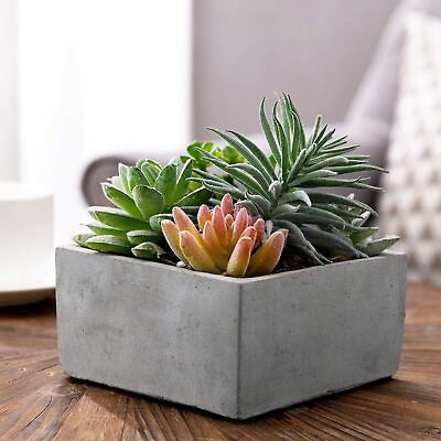 #ad Minimalist Artificial Succulent Plants Arrangement in Grey Square Cement Pot $21.99