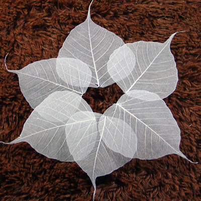 #ad 10Pcs DIY Supply Leaves Embellishment Tree Leaves Decoration $9.58
