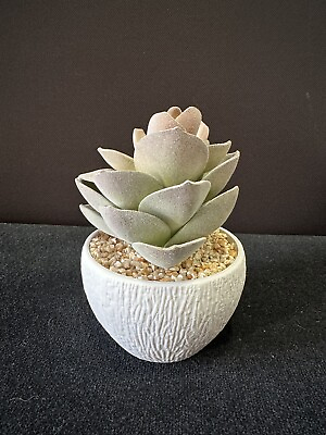 #ad Artificial Succulent Plants in White Ceramic Pot Very Nice Condition $5.00