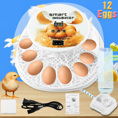 #ad Egg Incubator Automatic Chicken Quail Chick Hatcher Incubators for Hatching Eggs $38.88