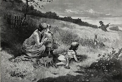 #ad #ad Rabbit amp; Children Watch Each Other in Field Charming Large 1880s Antique Print $39.95