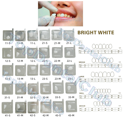 #ad 30Sizes Dental Resin Front Teeth Whitening Veneer Composite Porcelain Veneers $80.72