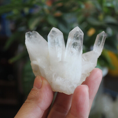 #ad Natural White Crystal Quartz Cluster Specimen Reiki Healing Stone Home Decor $4.99