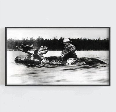 #ad Teddy Roosevelt Riding a Moose Wall Art poster Choose your Size AU $28.46