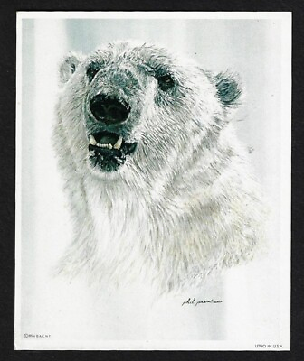 #ad Vintage 1974 POLAR BEAR Wildlife Art Print by Artist Phil Prentice 4quot; x 5quot; $7.95