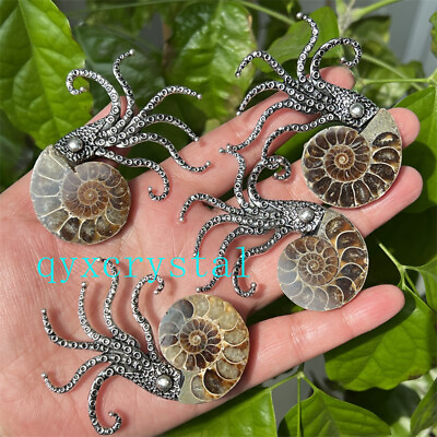 #ad #ad Natural Ammonite Fossil Conch Specimen Reiki Healing Brooch 1PC $12.19