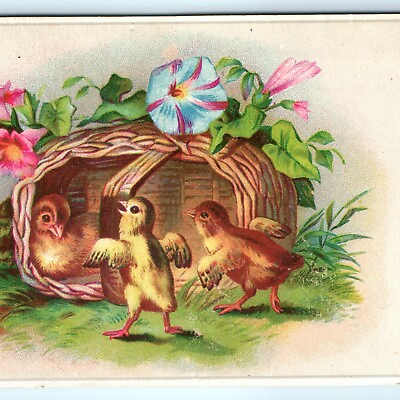 #ad c1880s Cute Baby Chicks in Basket Victorian Trade Card Adorable Happy Birds C24 $7.25