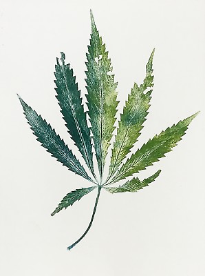 #ad Marijuana Cannabis Leaf Art Original One of Kind Mono Print $79.95