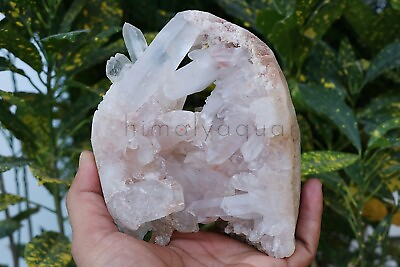 #ad White With Pink Quartz 1.065 Kg Crystal Mineral Quartz Crystal Point Healing Raw $155.31