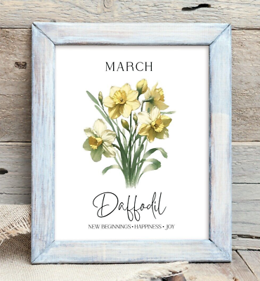 #ad Birth Month Flower Art Print March Daffodil Wall Art Decor Print Home Decor $9.99