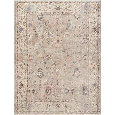 #ad Surya Indoor Area Rug 9#x27; X 12#x27; Rectangle Machine Made Polyester Material Khaki $848.22