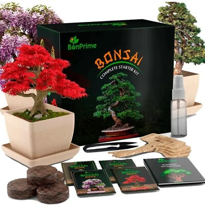 #ad Bonsai Complete Starter Kit 4 Seeds $20.00