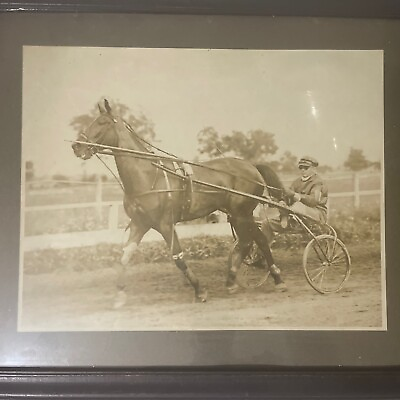 #ad Antique Harness Track Photo Trotter Framed 15 x 19 Saratoga $72.99