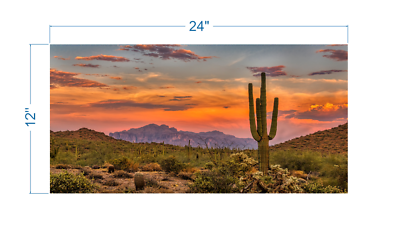 #ad Terrarium Background Sunset Desert vinyl graphic adhesive TR0010 $17.25