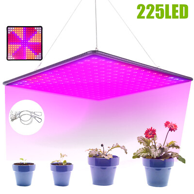 #ad 5500W LED Grow Lights Full Spectrum for Indoor Veg Flower Bloom Lamp Plant US $26.03