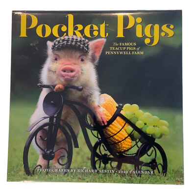 #ad Pocket Pigs: The Famous Teacup Pigs of Pennywell Farm 2020 Calendar 12” X 12” $4.95