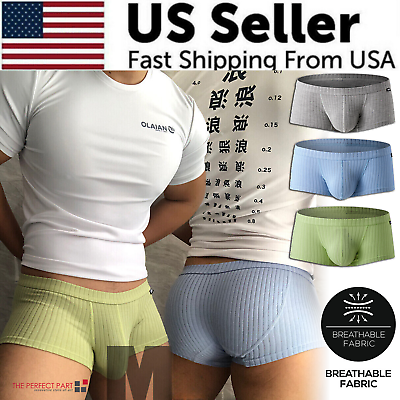 #ad Men#x27;s Sexy Underwear Low waist Briefs U Pouch Boxers Striped Shorts Underpants $10.89
