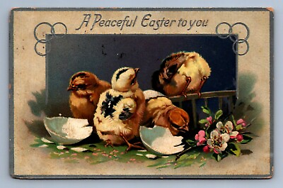 #ad Postcard Vtg Tuck#x27;s Easter Postcards Happy Chicks Hatching No 704 $2.00