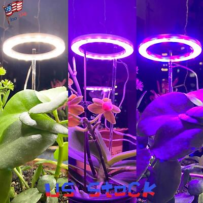 #ad Ring LED Plant Lights Grow Lamp Full Spectrum for Hydroponic Veg Flower Fruit US $13.96