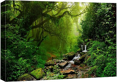 #ad 24quot;x36quot; Green Forest Landscape Wall Art Nature Canvas Print $44.99