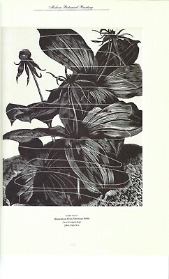 #ad Botanical HERB PARIS Print Black amp; White Flower Art Decor Illustration Floral $16.30