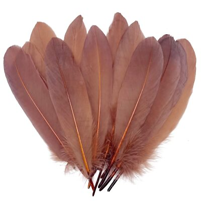 #ad 100pcs Brown Goose Feathers 6 8 Inch for Crafts Wedding Party Decorations Clo... $14.53
