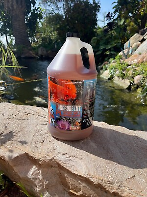 #ad Microbe Lift Liquid PL Friendly Bacteria Gallons SPRING IS COMING SALE FREE SHIP $46.00