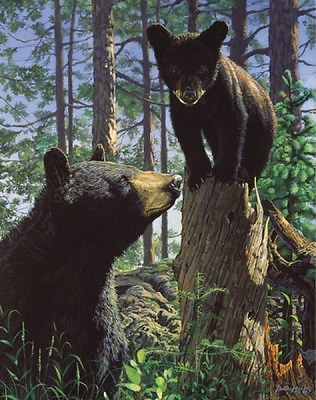 #ad Stump Jumper by Bruce Miller Art Print Bear Wildlife Black Bears Poster 11x14 $16.95