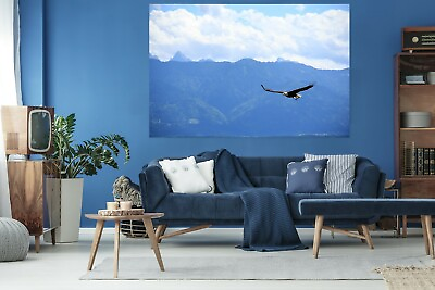 #ad 3D Mountain Eagle Fly C01 Animal Wall Stickers Wallpaper Mural Wall Murals Zoe AU $29.99