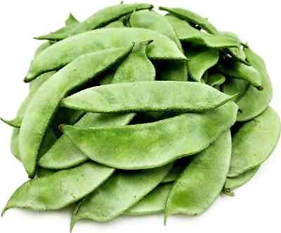 #ad 15 Asian Green Bean Seeds Curved FREE SHIPPING $6.99