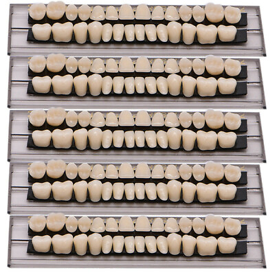 #ad 140PCS Denture 23# Shade A2 Acrylic Resin Full Set Teeth Upper Lower Dental NEW $13.99