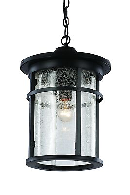 #ad Trans Globe Lighting TG40386 BK Transitional One Hanging Lantern $116.44