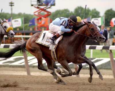 #ad Touch Gold 1997 Belmont Stakes Photo 8x10 $9.95