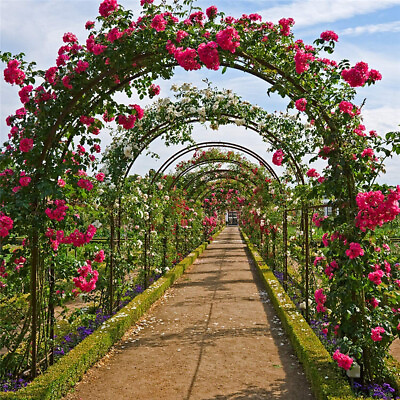 #ad Heavy Duty Metal Garden Arch Trellis Arbour Outdoor Rose Climbing Plants Stand $29.96