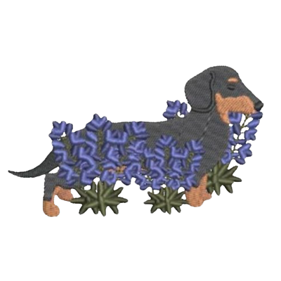#ad Dachshund Walking Through Bluebonnet Embroidered Patch — Iron On 2.24quot; X 3.80” $6.95