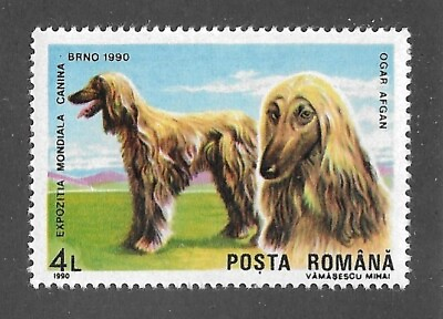 #ad Dog Art Full Body Portrait Postage Stamp BlkMskRed AFGHAN HOUND Romania 1990 MNH $1.49