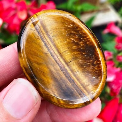 #ad Natural Tiger Eye Palm Worry Stone Crystal Smooth Polished Gemstone Collection $8.59