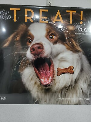 #ad Dog Treat 2020 Calendar Brown amp; Trout Christian Vieler Photography Crafts DIY $8.73