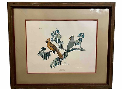 #ad Vintage Series 1 Signed Limited Edition Bird Print Cardinal Large framed 33x28 $90.99