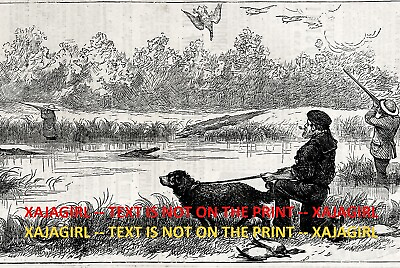 #ad DOG Portuguese Water Curly Coated Retriever Hunt 1870s Antique Print amp; Article $89.95