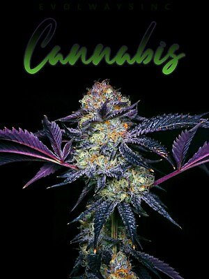 #ad Cannabis Art 18x24inches 1 of 3 $150.00