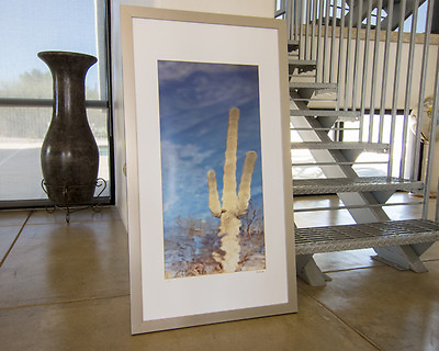 #ad Framed Photography Print of Abstract Arizona Desert Saguaro Cactus in Reflection $575.00