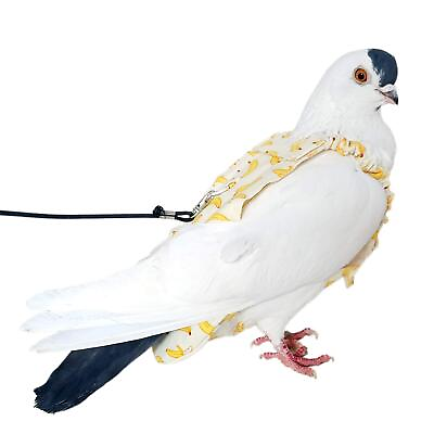 #ad Pigeon Diaper Leash 5 Months Avian Bird Supplies Waterproof Adjustable Fit $29.63