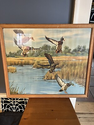#ad Ducks In Flight Picture By Ciernia $15.00
