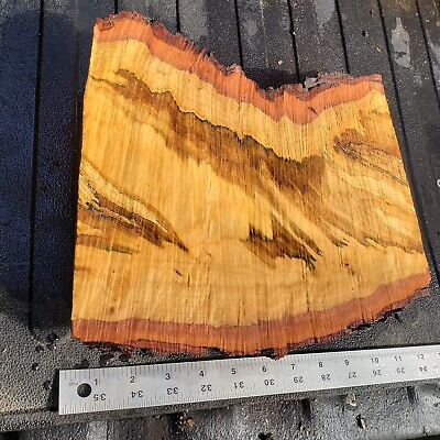 #ad Beautiful Spalted Maple rough cut slab for crafting Fresh Cut Live Edge $25.00