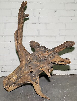 #ad Huge Piece Of Driftwood approx: 30quot; x 30quot; x 8quot; hardwood used in terrarium $124.99