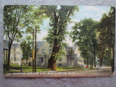 #ad Antique Jonathan Edwards Elm Northampton Massachusetts Postcard 1908 $2.65