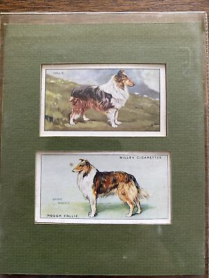 #ad Vintage Dog Cards Collie Collection $11.00