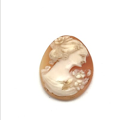 #ad Antique Shell Right Facing Genuine Loose Cameo $44.99