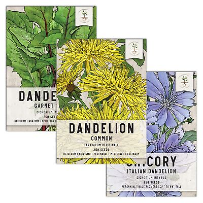 #ad Dandelion Seed Packet Collection 3 Varieties of Seeds for Planting Non GM... $13.62